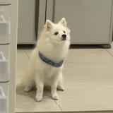 (Category: ) located in . Submitted by flyfast_runfaster (Listing ID 1380665681, Image 1). Description: .