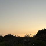 由 yang74681 (刊登 ID 1385225564，圖片 1) 提交，位於 的 (類別：)，說明：。