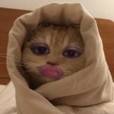 (Category: ) located in . Submitted by lysmnstr_ (Listing ID 1379687052, Image 1). Description: .
