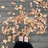 (Category: ) located in . Submitted by mimimaomao_ (Listing ID 1374144972, Image 1). Description: .