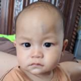 (Kategori: ) berada di . Dikirim oleh thingsweeneed.id (ID iklan 1380368079, Gambar 1). Deskripsi: .