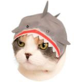 (Category: ) located in . Submitted by frolckngfln (Listing ID 1346640826, Image 1). Description: .