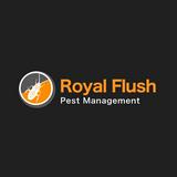 (Category: ) located in . Submitted by royalflushpestmanagement (Listing ID 1376189782, Image 1). Description: .