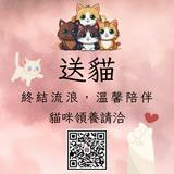 由 elva.dusa (刊登 ID 1360952064，圖片 1) 提交，位於 的 (類別：)，說明：。