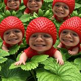 (Category: ) located in . Submitted by jomski. (Listing ID 1361457200, Image 1). Description: .