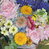 (Kategori: ) berada di . Dikirim oleh everydaythrift_ (ID iklan 1361560743, Gambar 1). Deskripsi: .