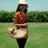 (Category: ) located in . Submitted by shruti23287952 (Listing ID 1361664860, Image 1). Description: .