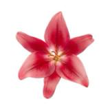 (Kategori: ) berada di . Dikirim oleh loved.byka (ID iklan 1372125309, Gambar 1). Deskripsi: .