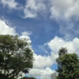 (Category: ) located in . Submitted by maysi1314 (Listing ID 1380246124, Image 1). Description: .