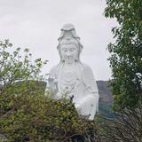 （分類：）位於 。 由 neossp 提交（商品編號 1359313032，圖片 1）。簡介： 。