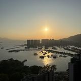 （分類：）位於 。 由 felicity.co 提交（商品編號 1384502827，圖片 1）。簡介： 。