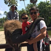 (Category: ) located in . Submitted by dadongwu95193 (Listing ID 1445087779, Image 1). Description: .