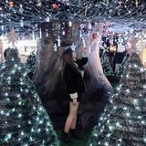 由 lllkelsey (刊登 ID 1385264400，圖片 1) 提交，位於 的 (類別：)，說明：。
