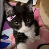 (Category: ) located in . Submitted by legitselleronly (Listing ID 1375930706, Image 1). Description: .