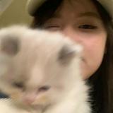 由 meow9889 (刊登 ID 1371391112，圖片 1) 提交，位於 的 (類別：)，說明：。