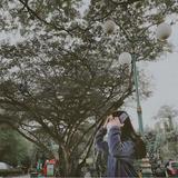 (Kategori: ) berada di . Dikirim oleh city_girl. (ID iklan 1357742383, Gambar 1). Deskripsi: .