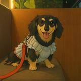 (Category: ) located in . Submitted by fhyeeek (Listing ID 1375972655, Image 1). Description: .
