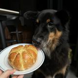(Category: ) located in . Submitted by breadwithgarlic (Listing ID 1375783041, Image 1). Description: .