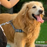由 roger0125r76515 (刊登 ID 1385457090，圖片 1) 提交，位於 的 (類別：)，說明：。