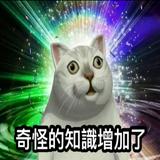 （分類：）位於 。 由 thefriendlyghost7 提交（商品編號 1362703628，圖片 1）。簡介： 。