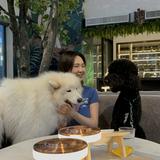 由 arinatlin (刊登 ID 1384644467，圖片 1) 提交，位於 的 (類別：)，說明：。