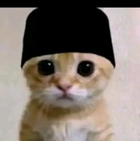 (Kategori: ) berada di . Dikirim oleh aripingodo28946 (ID iklan 1362517484, Gambar 1). Deskripsi: .