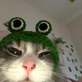 (Category: ) located in . Submitted by itskttt (Listing ID 1411409716, Image 1). Description: .
