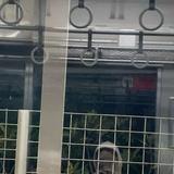 (Kategori: ) berada di . Dikirim oleh yawww88 (ID iklan 1383702568, Gambar 1). Deskripsi: .