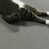 (Category: ) located in . Submitted by anaxbwh1123 (Listing ID 1376853780, Image 1). Description: .
