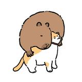 （分類：）位於 。 由 capybara_vintage_house 提交（商品編號 1293405642，圖片 1）。簡介： 。