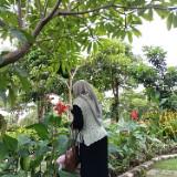 (Kategori: ) berada di . Dikirim oleh agustinindahp44 (ID iklan 1380915255, Gambar 1). Deskripsi: .