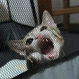 (Category: ) located in . Submitted by raved (Listing ID 1344672440, Image 1). Description: .