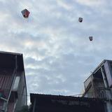 由 swaybar (刊登 ID 1384779534，圖片 1) 提交，位於 的 (類別：)，說明：。