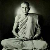 (Category: ) located in . Submitted by hobbyshype (Listing ID 1367276155, Image 1). Description: .