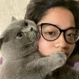 (Kategori: ) berada di . Dikirim oleh adeerizkii (ID iklan 1367485748, Gambar 1). Deskripsi: .