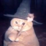 (Category: ) located in . Submitted by bobsellsstuff (Listing ID 1384897357, Image 1). Description: .