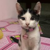 (Kategori: ) berada di . Dikirim oleh ngethrif.in (ID iklan 1368180051, Gambar 1). Deskripsi: .