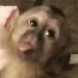 (Category: ) located in . Submitted by oughchi (Listing ID 1377285432, Image 1). Description: .