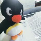 (Category: ) located in . Submitted by roachell (Listing ID 1375030290, Image 1). Description: .