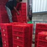 (Kategori: ) berada di . Dikirim oleh saleprelovedpribadi (ID iklan 1359524732, Gambar 1). Deskripsi: .