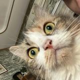 (Category: ) located in . Submitted by nadscutie (Listing ID 1386494253, Image 1). Description: .