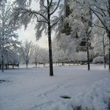 (Category: ) located in . Submitted by winter1015 (Listing ID 1380023883, Image 1). Description: .