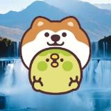 （分類：）位於 。 由 akita.2buy2 提交（商品編號 1325243476，圖片 1）。簡介： 。