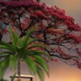 (Category: ) located in . Submitted by banithra (Listing ID 1380447483, Image 1). Description: .
