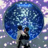由 ever92577 (刊登 ID 1374606835，圖片 1) 提交，位於 的 (類別：)，說明：。