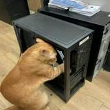 (Category: ) located in . Submitted by techforge (Listing ID 1374660771, Image 1). Description: .