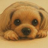 (Category: ) located in . Submitted by tlk91 (Listing ID 1380425956, Image 1). Description: .