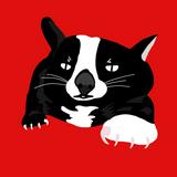 由 chaochumy (刊登 ID 1380547035，圖片 1) 提交，位於 的 (類別：)，說明：。
