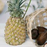 （分類：）位於 。 由 yelenalee 提交（商品編號 1364793791，圖片 1）。簡介： 。