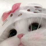 (Category: ) located in . Submitted by niquolee (Listing ID 1385706583, Image 1). Description: .